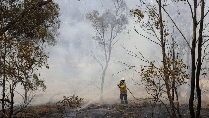 Trotz der gewaltigen Mengen an CO2, welche die jüngsten Buschbrände in Australien freigesetzt haben, rechnet die Regierung damit, ihre Klimaziele zu erreichen. (Archivbild)