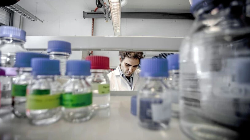 Ein Krebsforscher im Laboratorium des Krebsforschungsinstituts (IOR) in Bellinzona. Österreichische Kollegen haben herausgefunden, dass bestimmte im Menschen vorkommende Proteine das Krebswachstum hemmen. Die therapeutische Anwendung dieser Einsicht…