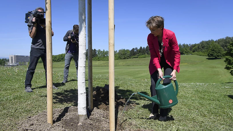 Baumgiessen und Medienaufsicht: Bundespräsidentin Simonetta Sommaruga wässert eine neu gepflanzte Sommerlinde auf der Berner Allmend.