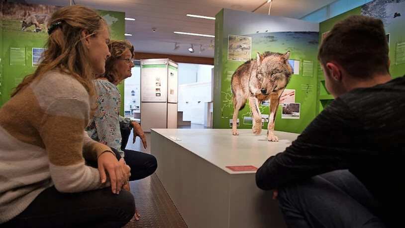 Faszination Kultur: Das Bündner Naturmuseum in Chur, ...