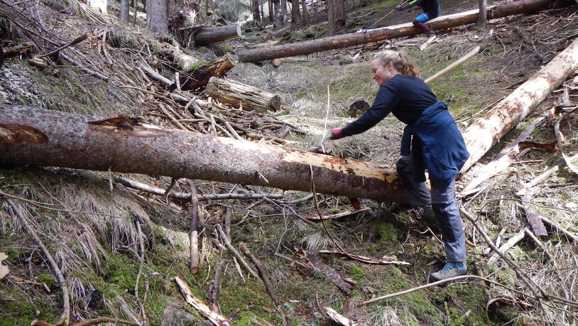 Acht Freiwillige arbeiten nächste Woche im Bergwald in Arosa.