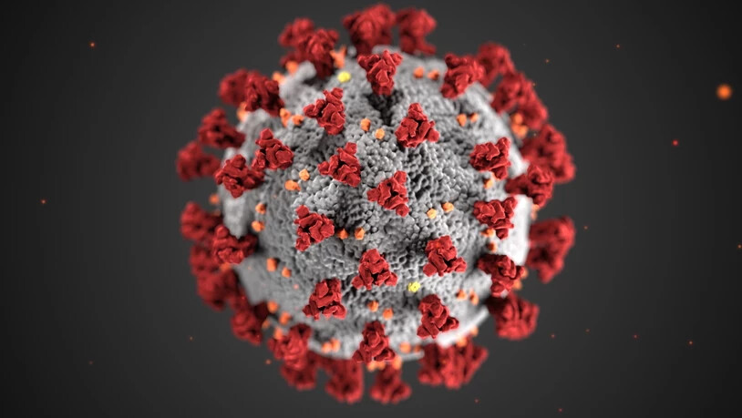 Innerhalb eines Tages haben sich in der Schweiz 36 Menschen neu mit dem Coronavirus infiziert.