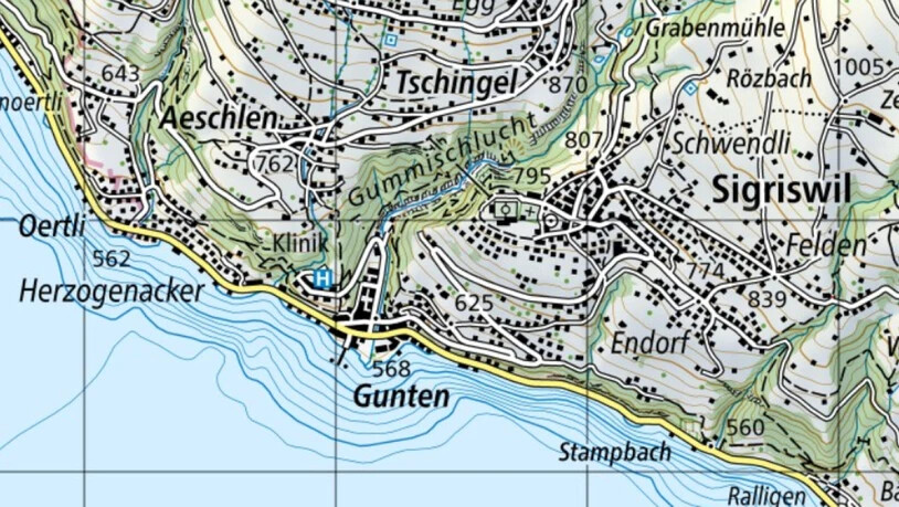 Der Bach, welcher zwischen den Ortschaften Tschingel und Aeschlen hindurch zum Thunersee hinabfliesst, überschwemmte die Seestrasse bei Gunten.