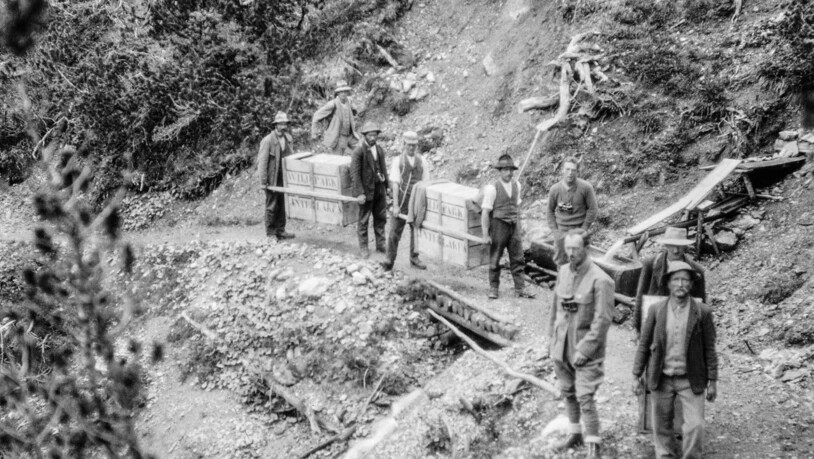 Ein Bild aus den frühen 1920er Jahren vom Transport junger Steinböcke in die Val Cluozza im Schweizerischen Nationalpark.