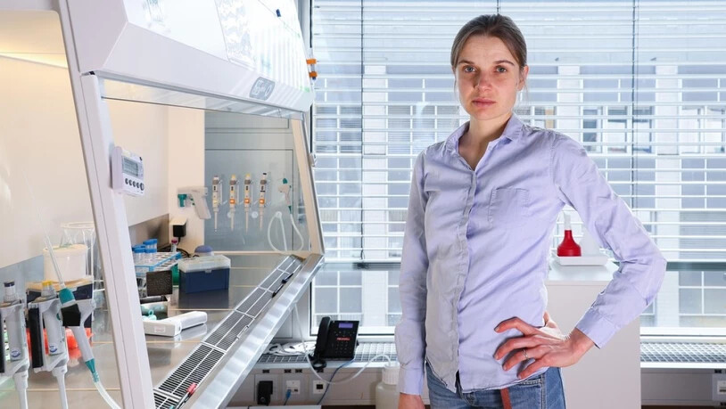 Die gebürtige Deutsche Andrea Ablasser, die am Polytechnikum in Lausanne (EPFL) forscht, erhält für ihre Arbeiten über das angeborene Immunsystem den hochdotierten Leenards-Preis. (EPFL)