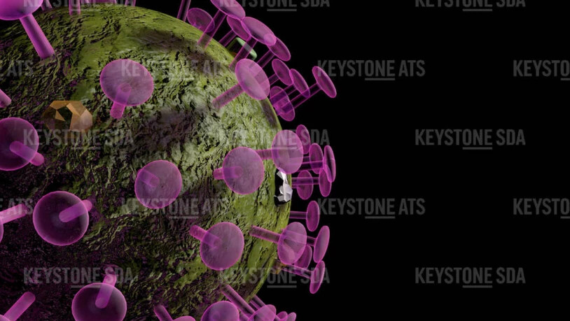Dem Bundesamt für Gesundheit (BAG) sind innerhalb eines Tages 220 neue Ansteckungen mit dem Coronavirus gemeldet worden. (Symbolbild)