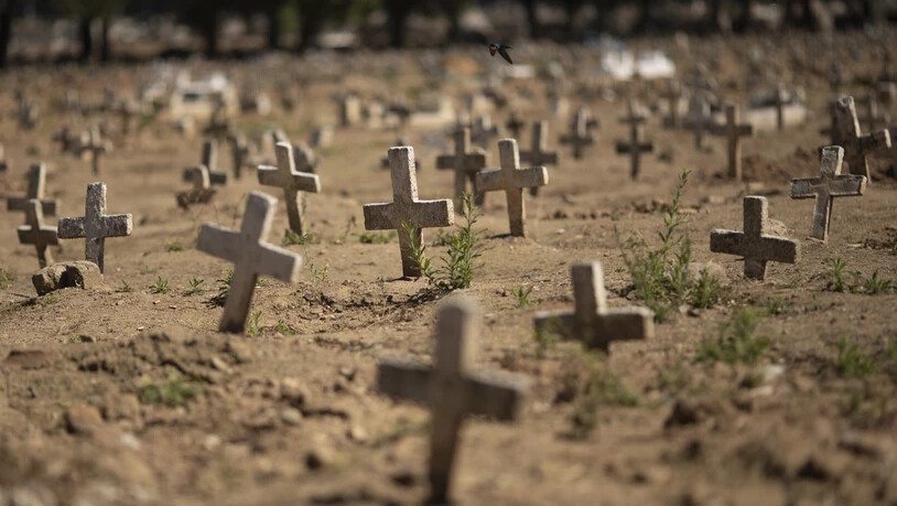 Kreuze stehen auf dem Caju-Friedhof in Rio de Janeiro, auf dem Opfer der Corona-Pandemie begraben wurden. In Brasilien gibt es laut der Universität Johns Hopkins 3,5 Millionen bestätigte Sars-CoV-2-Infektionen und rund 113 000 Todesfälle. Foto: Silvia…
