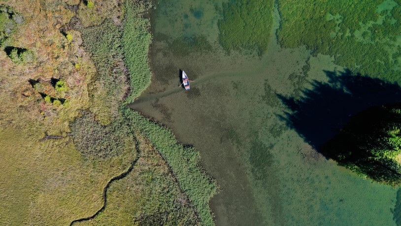 Ein einsamer Ruderer umrundet den Heidsee auf der Lenzerheide.