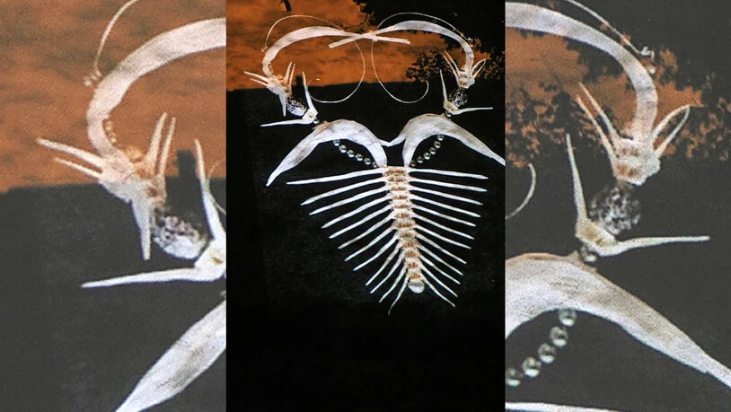 Auf Spurensuche: Die Lichtinstallation von Barbara Streiff wird auf die Schlossmauern projiziert.