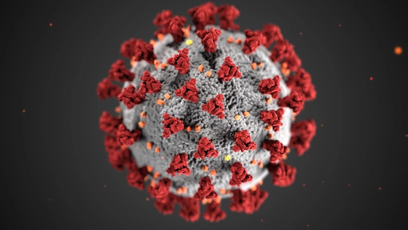 In der Schweiz und in Liechtenstein sind dem Bundesamt für Gesundheit gemäss Mitteilung vom Freitag innert 24 Stunden 3105 neue Coronavirus-Ansteckungen gemeldet worden.