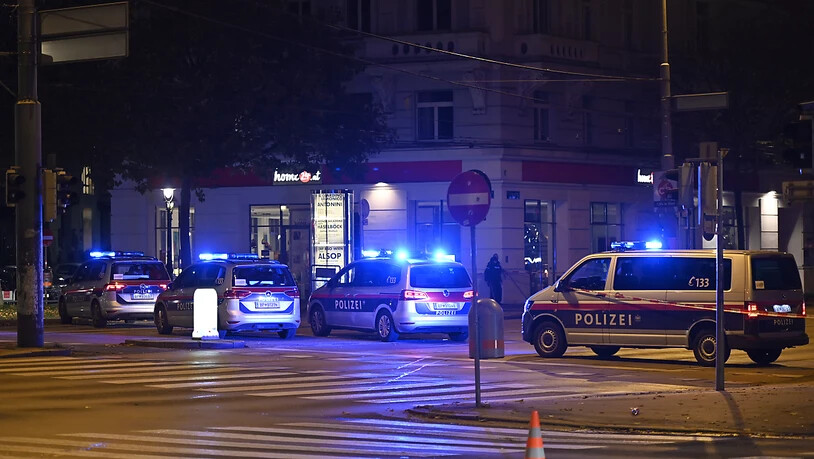 Polizeifahrzeuge stehen in der Wiener Innenstadt. Foto: Herbert Neubauer/APA/dpa