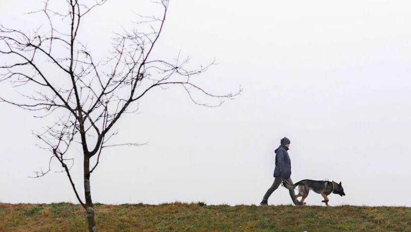 Begegnungen im Nebel: Unser Fotograf Sasi Subramaniam war im Glarnerland unterwegs.