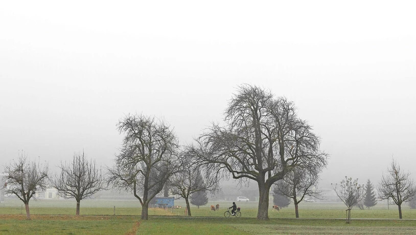 Begegnungen im Nebel: Unser Fotograf Sasi Subramaniam war im Glarnerland unterwegs.