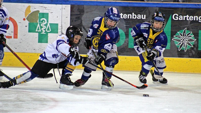 Das Crowdfunding für den HCD-Nachwuchs ist zustande gekommen.