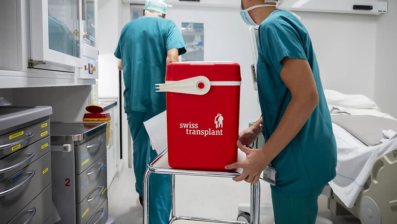 Eine Niere wird zur Transplantation in den Operationssaal gebracht. (Archivbild)