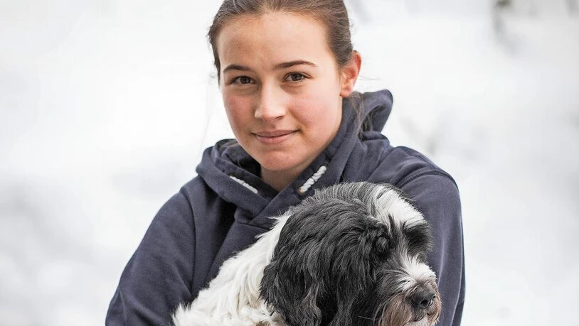 Wie viel Wolf steckt im Hund? Ihr Tibet-Terrier Falco inspiriert Selina Acker, wölfische Verhaltensweisen im Spielverhalten von Haushunden zu untersuchen.