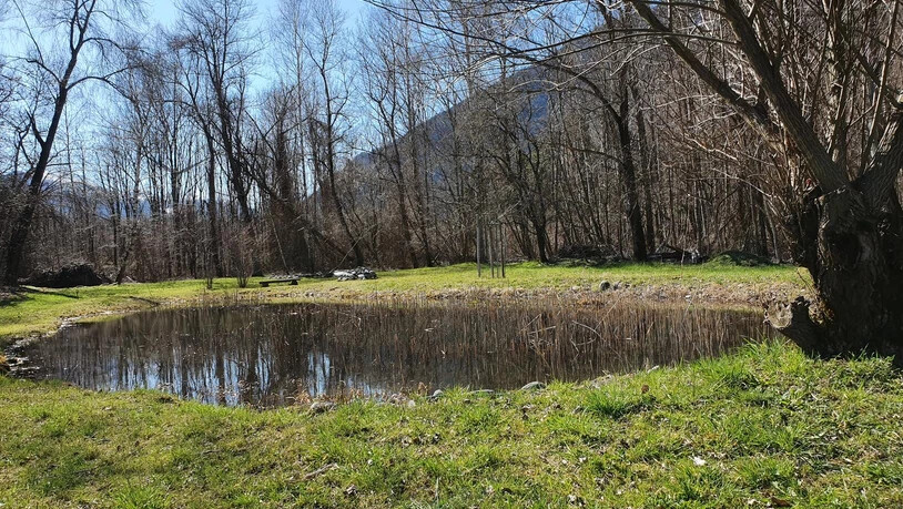 Idyllisch: Ein Video der Schulklasse Trimmis über das Naturschutzgebiet Rodauen wurde zum Sieger gekürt.