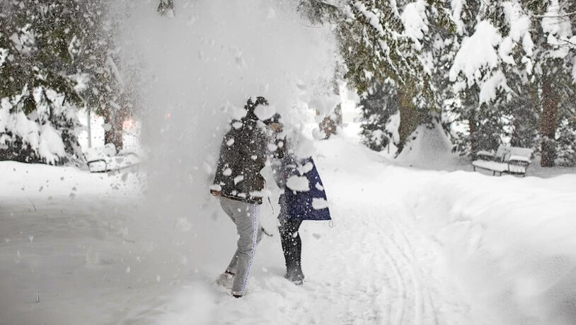 Ein neuer Rekord: In Glarus fiel im Januar viel Niederschlag – von den Bäumen ebenso wie vom Himmel.