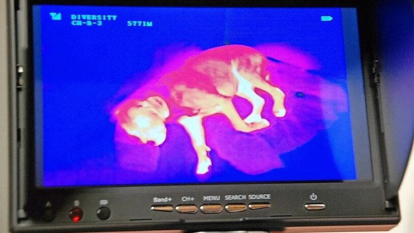 Mit einer Dohne werden die Rehkitze gesucht.