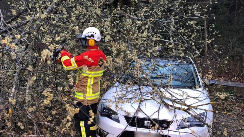 In Bern brach unter der Wucht von Sturm "Luis" ein grosser Ast ab und begrub ein Auto unter sich.