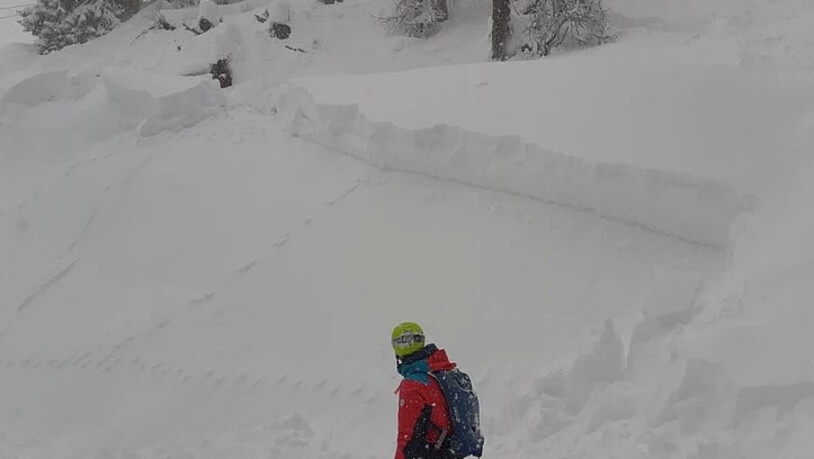 Mitte Januar war der viele Neuschnee nicht nur in hohen Lagen, sondern auch im Waldbereich (Rinerhorn, Davos) leicht auslösbar.