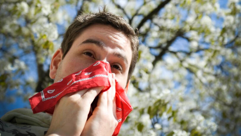 Rund 15 Prozent der Weltbevölkerung ist allergisch auf Pollen.