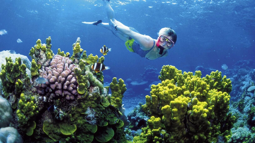 Das Great Barrier Reef an der Ostküste Australiens soll auf die Rote Liste der Unesco gesetzt werden. (Archivbild)