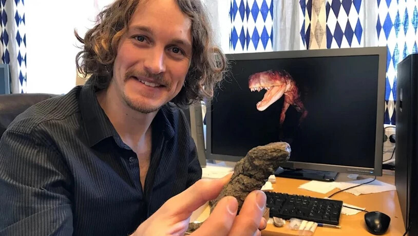 Martin Qvarnström hält eine 210 Millionen Jahre alte fossile Kotkruste eines Dinosauriers in der Hand. In einem ähnlichen Stück hat er fast vollständige Überreste einer Käferart gefunden - samt der filigranen Beinchen. (Pressebild Björn Gunér)