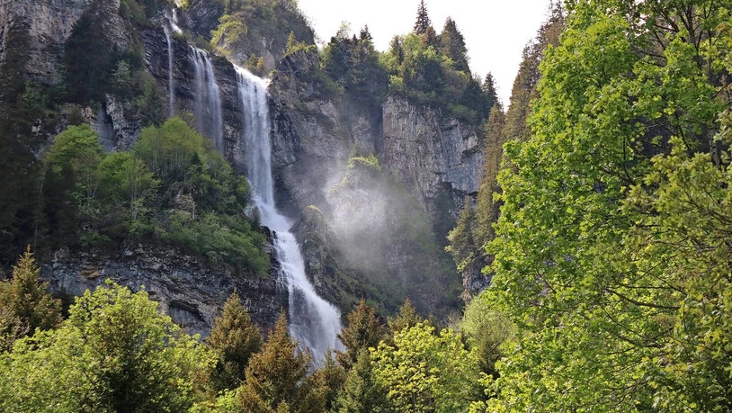 Das Wasser donnert und fällt und fällt und fällt – der Zillisbachfall bei Braunwald.