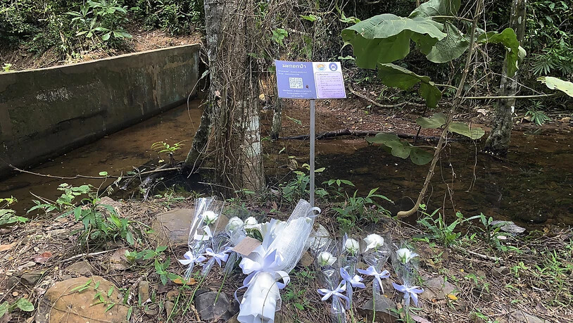 Die Leiche der 57-jährigen Schweizerin war am Donnerstag in der Nähe eines abgelegenen Wasserfalls im Süden Phukets entdeckt worden. Foto: Uncredited/AP/dpa