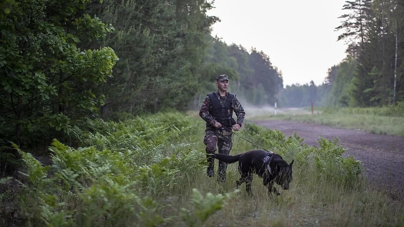 ARCHIV - Ein Mitglied des litauischen Grenzschutzes patrouilliert mit einem Hund an der Grenze zu Belarus. Foto: Mindaugas Kulbis/AP/dpa