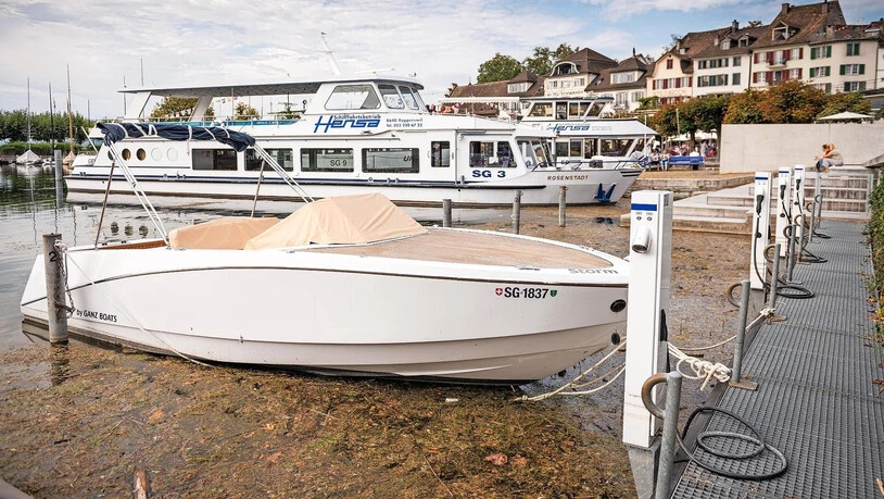 Unter keinem guten Stern: Die Plätze für E-Boote im Rapperswiler Hafen sind mehrheitlich leer.