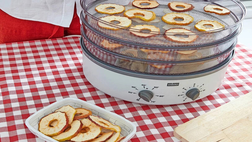 So sehen Sieger aus: Der Dörrex der Netstaler Firma Stöckli schwingt beim Dörrgeräte-Test des «Kassensturz» obenaus. Die Verantwortlichen sind stolz darauf.