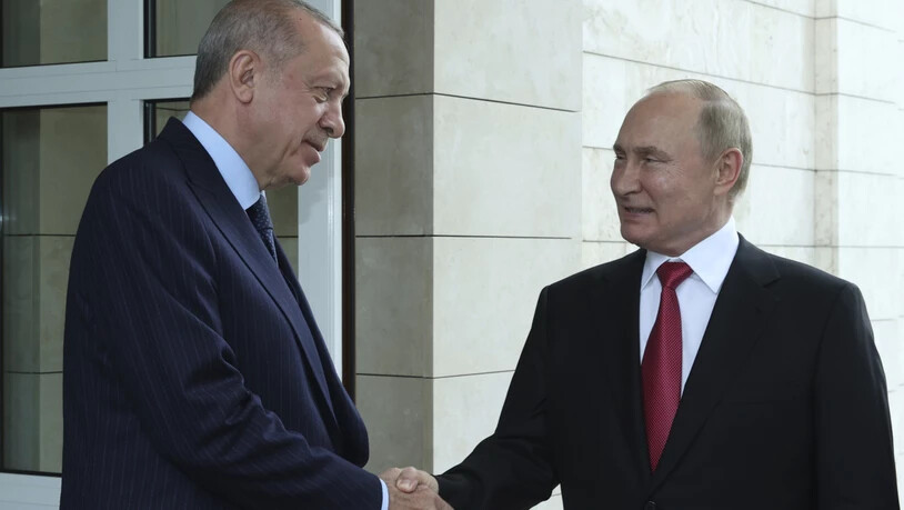 Wladimir Putin (r), Präsident von Russland, und Recep Tayyip Erdogan, Präsident der Türkei, sprechen miteinander, bevor Erdogan nach ihrem Treffen die Staatsresidenz Bocharov Ruchey verlässt. Foto: -/Turkish Presidency/AP/dpa