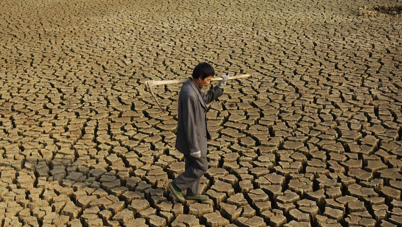 Trockenheit, Überschwemmungen, schmelzende Gletscher: 88 Prozent der von "Nature" befragten Klimaexperten sind der Meinung, dass die Welt eine Klimakrise erlebt. (Themenbild)
