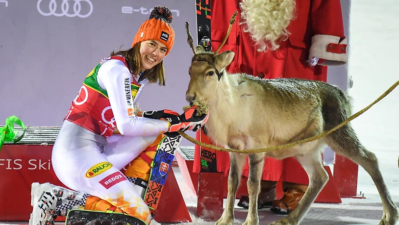 Petra Vlhova nimmt in Levi ihr viertes Rentier für den Sieg im Slalom in Empfang