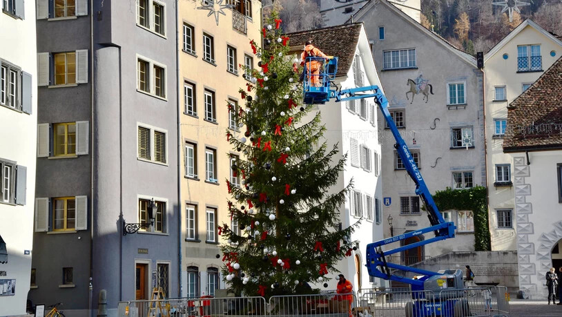 Am Freitag wird die Weihnachtstanne auf dem Arcasplatz eingeweiht.