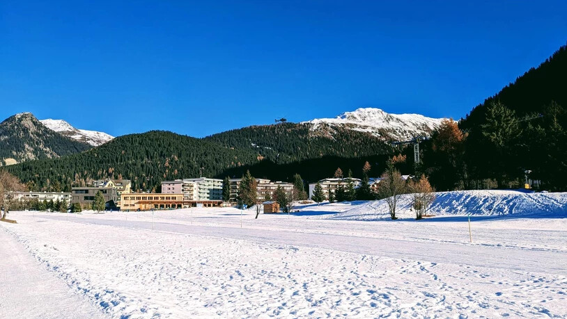 Im Gebiet Hertistrasse–Mattawald stand ein Armeehelikopter im Einsatz. 