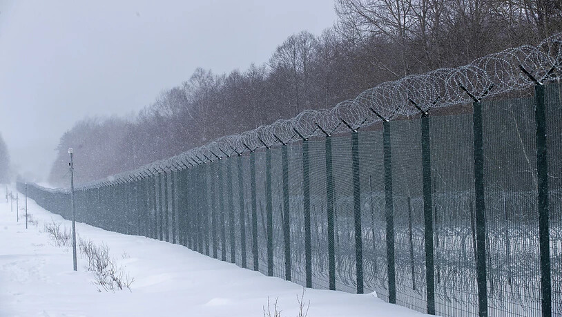 Blick auf einen vier Meter hohen Zaun an der litauisch-belarussischen Grenze in der Nähe des Dorfes Kurmelionys, etwa 40 km östlich der Hauptstadt Vilnius. Foto: Mindaugas Kulbis/AP/dpa