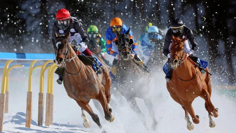 Identified (l), geritten von Dennis Schiergen gewinnt das Flachrennen ‘GP Conrad-Storz AG’ auf dem gefrorenen St. Moritzersee.