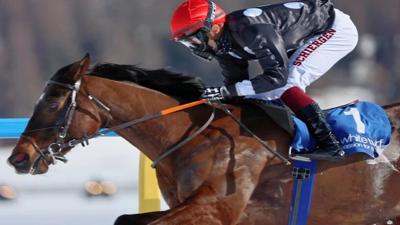 Identified, geritten von Dennis Schiergen gewinnt das Flachrennen ‘GP Conrad-Storz AG’ am dritten Renntag von White Turf St. Moritz.