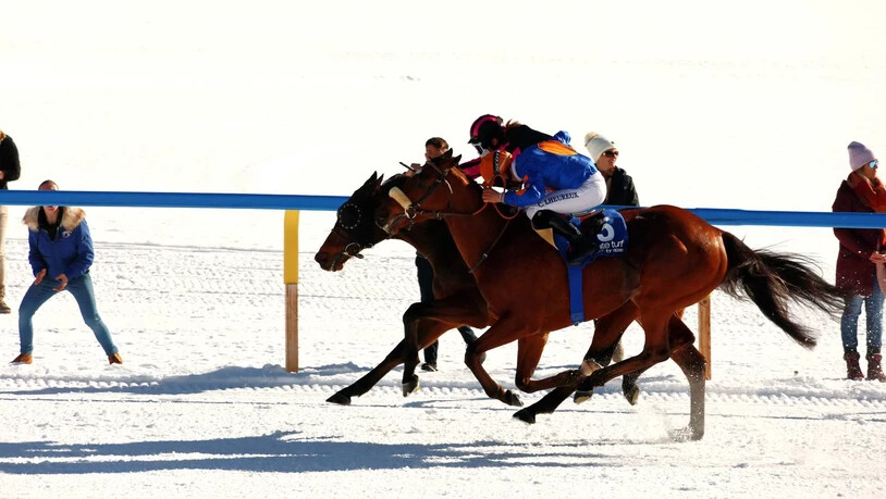 Stephanie Stephanie Theiler (hinten) auf Kiss Forever gewinnt das Flachrennen ‘Preis von Pontresina’ am dritten Renntag von White Turf St. Moritz.