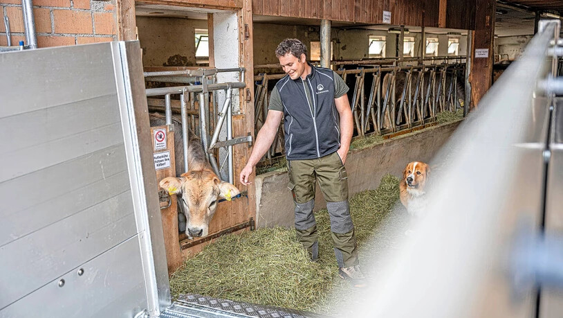 Neue Geschäftsidee auch für das Glarnerland: Der Appenzeller Damian Signer führt als Einziger in den Ostschweizer Kantonen Hof- und Weidetötungen durch und erspart damit allen Beteiligten viel Stress und Angst am Tag der Schlachtung. 