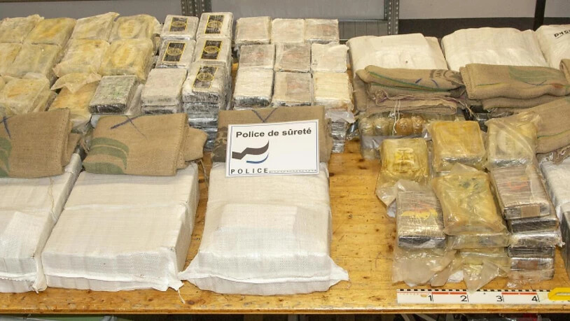 Die Polizei fand in der Lieferung 500 Kilo Kokain im Marktwert von 50 Millionen Franken.