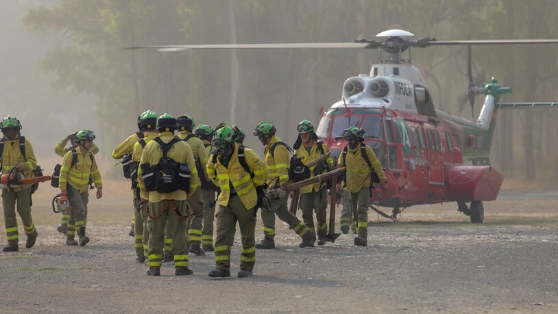 Feuerwehrleute, die die ganze Nacht über am Waldbrand in der Bergkette Sierra Bermeja gearbeitet haben, kommen mit dem Hubschrauber am Kommandoposten in Pujerra an. Mehr als 3000 Menschen sind in Spanien in der Nacht auf Donnerstag wegen des Waldbrandes…