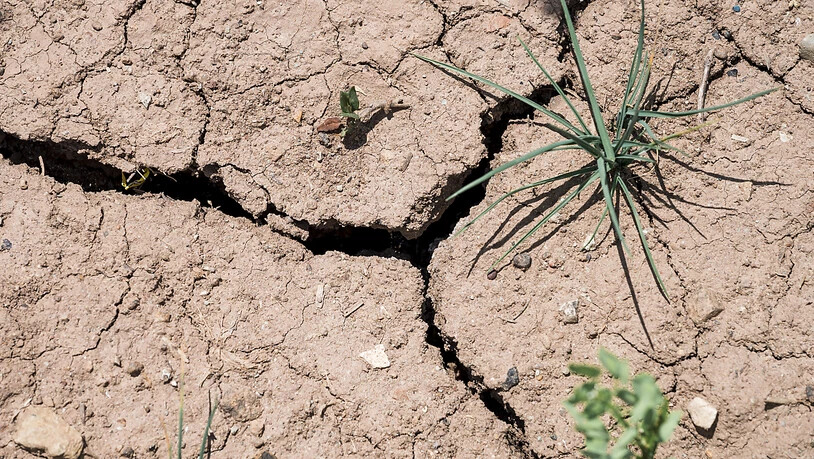 Die Erde in einem Feld ist trocken, rissig und aufgebrochen. Foto: Daniel Vogl/dpa
