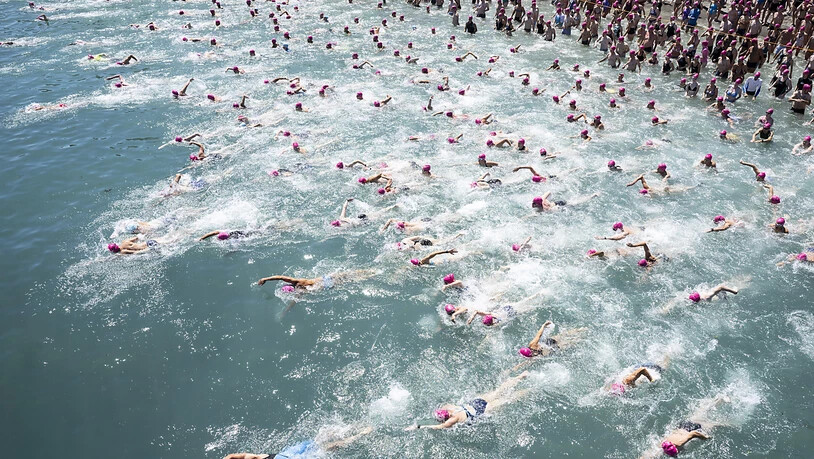 Bei hochsommerlichen Temperaturen haben 6508 Schwimmerinnen und Schwimmer an der Stadtzürcher Seeüberquerung teilgenommen.