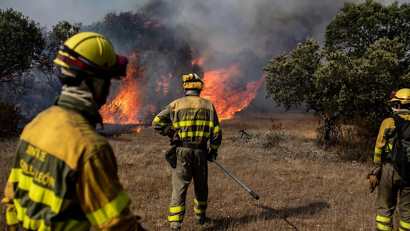 Feuerwehrleute arbeiten an den Löscharbeiten des Losacio-Brandes in Tábara, Zamora, Kastilien und León. Foto: Emilio Fraile/EUROPA PRESS/dpa