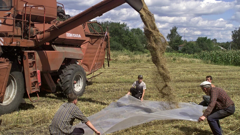Ukrainische Bauern bei der Weizenernte im Norden des Landes. (Archivbild)