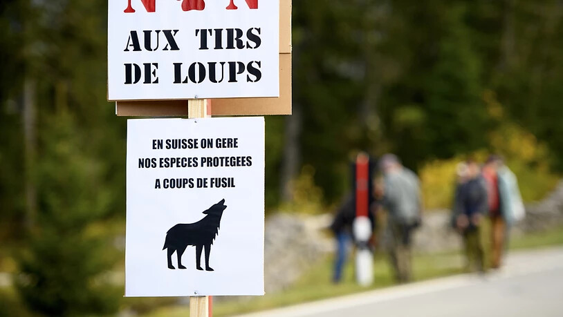 Drei Jungwölfe des Marchairuz-Rudels im Kanton Waadt sollen geschossen werden. Im Bild ein Plakat bei einer Demonstration gegen Wolfabschüsse in Le Chenit VD vor einem Jahr. (Archivbild)